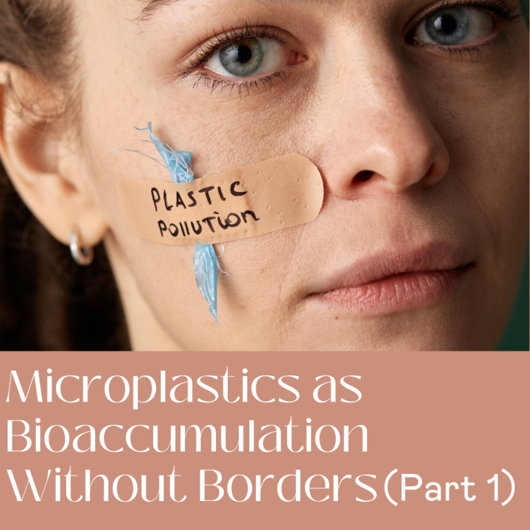 Microplastics as Bioaccumulation Without Borders