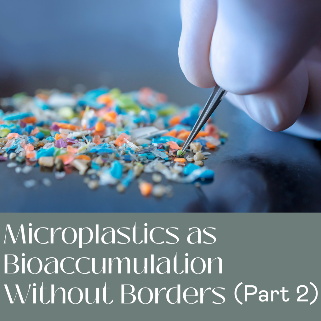 Pt 2 Microplastics as Bioaccumulation Without Borders